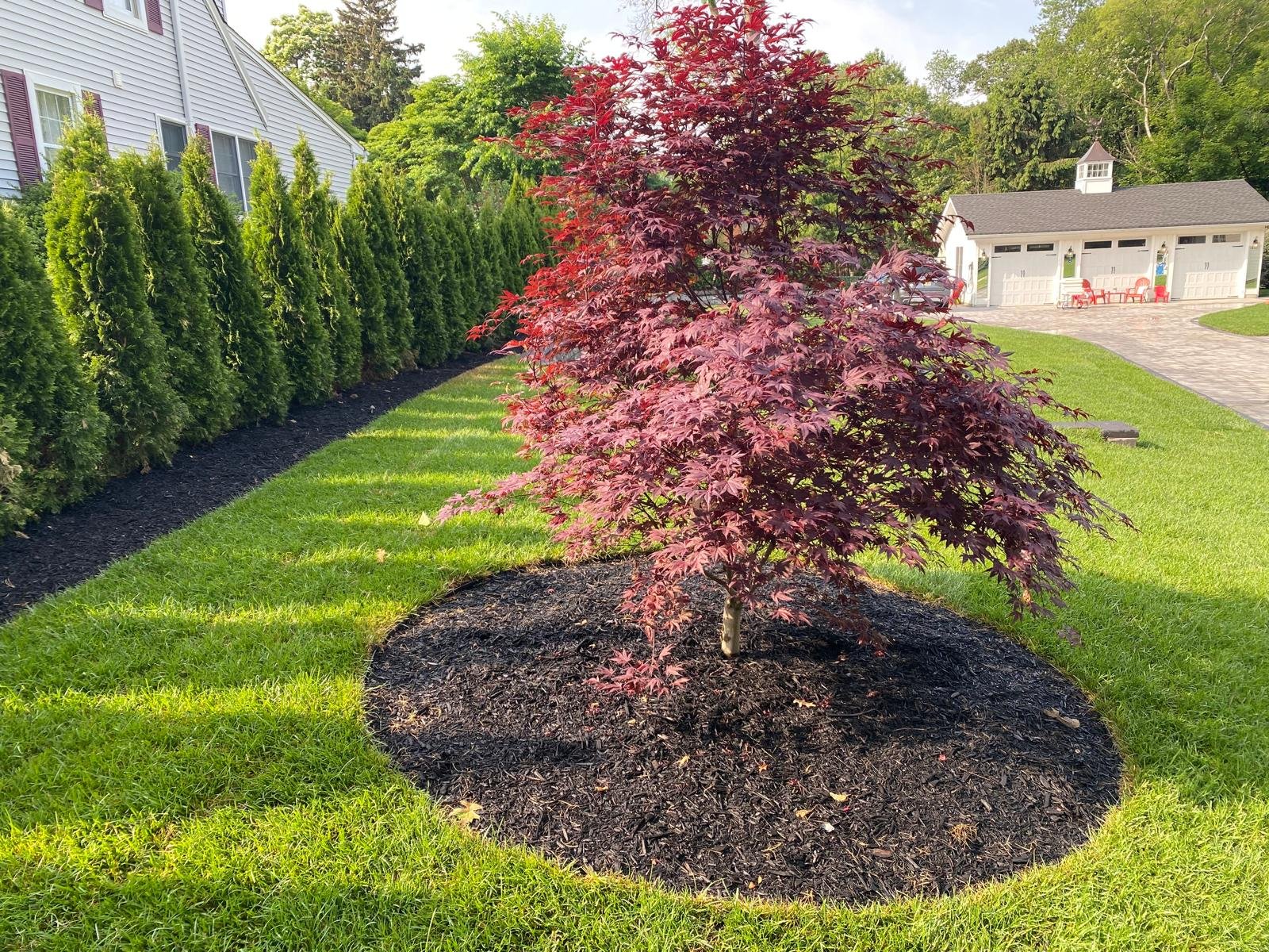 Backyard Landscaping
